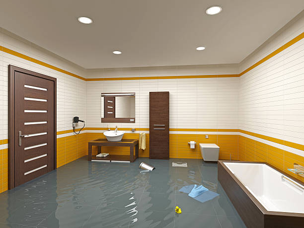 Forest Park, IL Water damage restoration Company